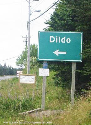 dildo twinned with cunter