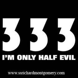  Im only half evil 333 tshirtslogan